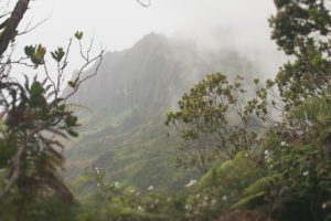 Jake and Necia Photography Kaui Photo 1