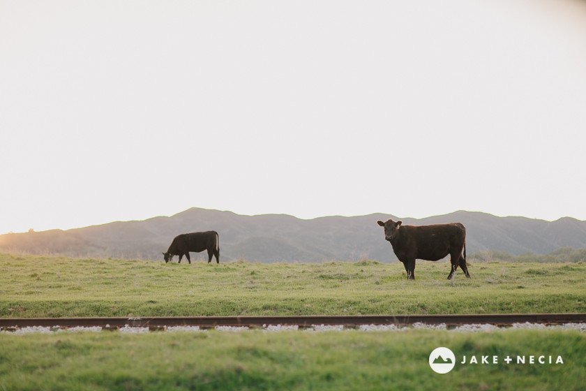 Jake and Necia Photography Santa Margarita Ranch Wedding (50)