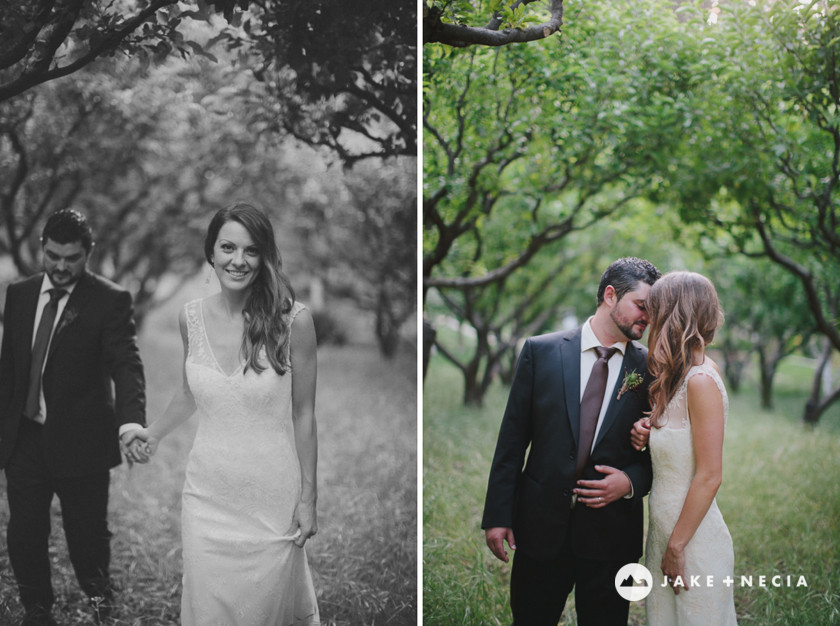 Peter & Cassie Nestldown Wedding Photos by Jake and Necia Photography (8)