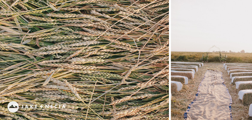 Ryan & Marin Wedding Photos: Favier Farms | Jake & Necia Photography (21)
