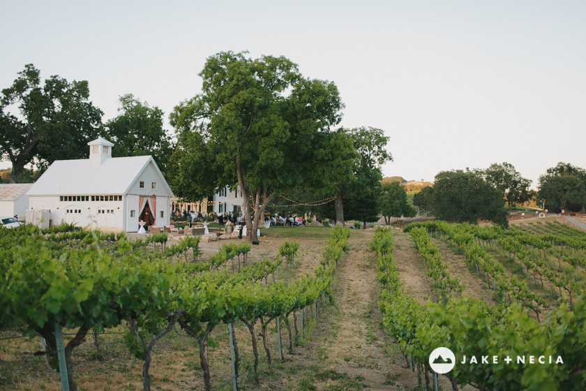 Central Coast Wedding at HammerSky