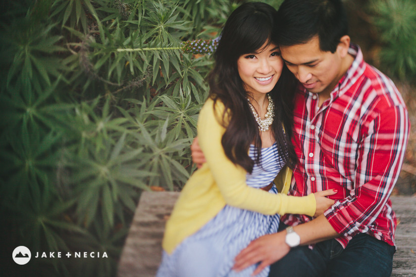 Jake and Necia Photography: De Young Museum Engagement Shoot (20)