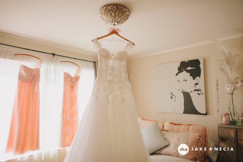 Jake & Necia Photography: San Francisco Wedding Photos (4)