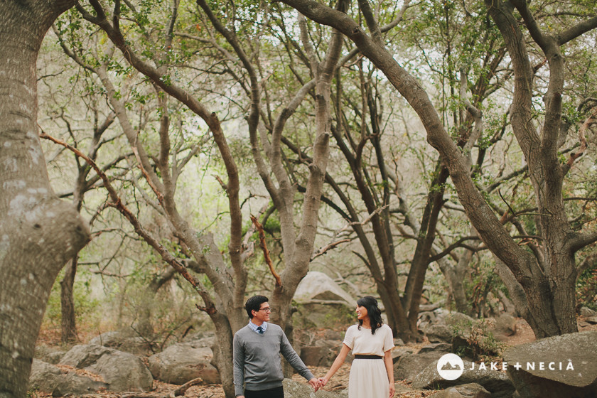 Jake and Necia Photography: San Luis Obispo Engagement Photography (13)