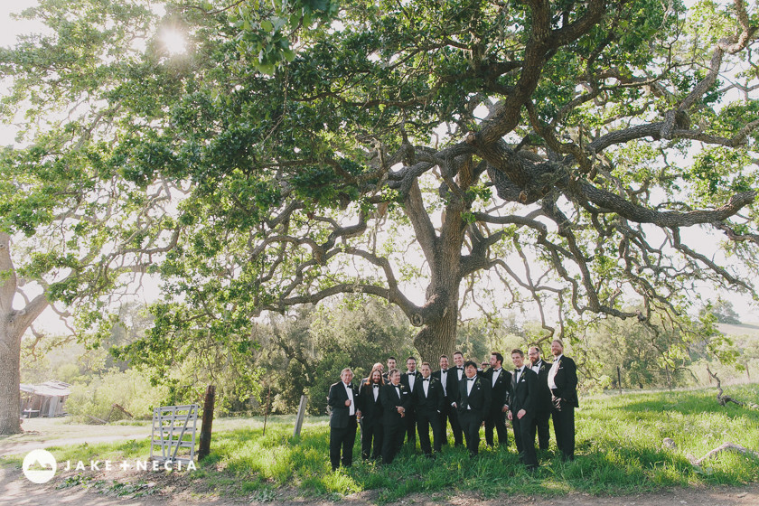 Jake and Necia Photography: Gainey Vineyards Barn Wedding (43)