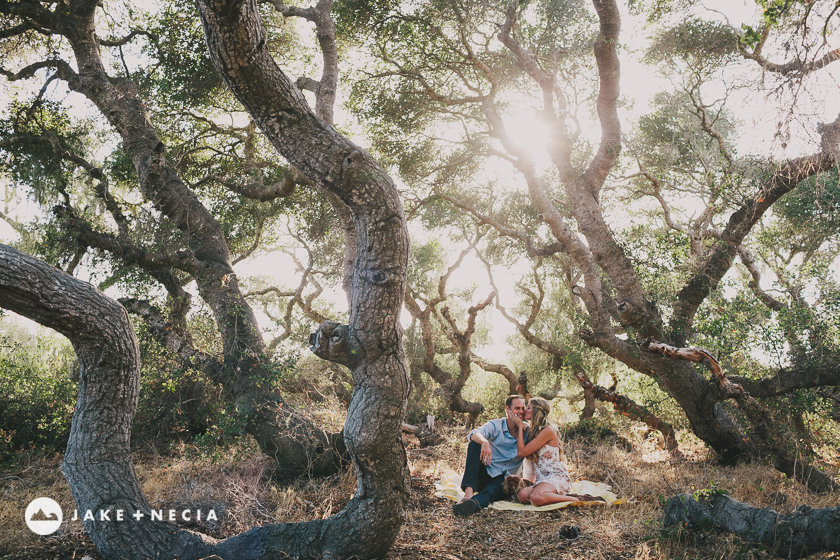 Jake and Necia Photography: Montana De Oro & Los Osos Oaks Reserve Engagement (30)
