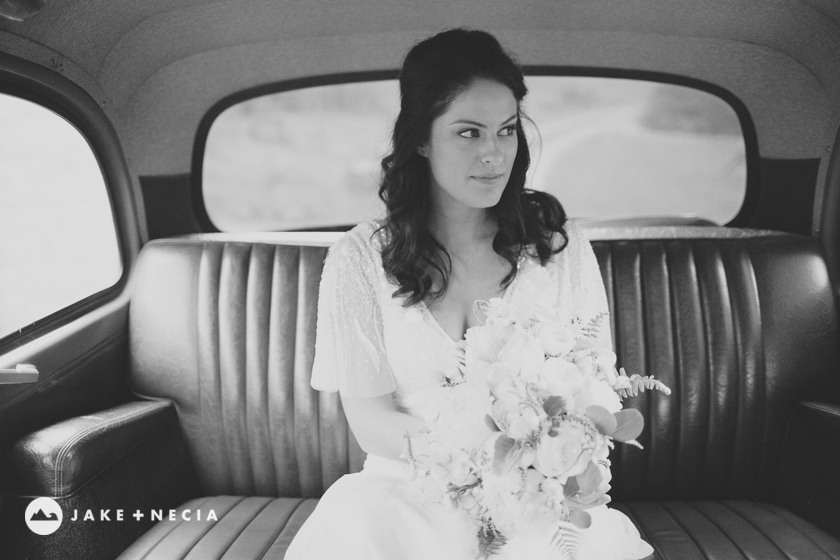 Jake and Necia Photography: Kevin & Kyle Nestldown Wedding (14)