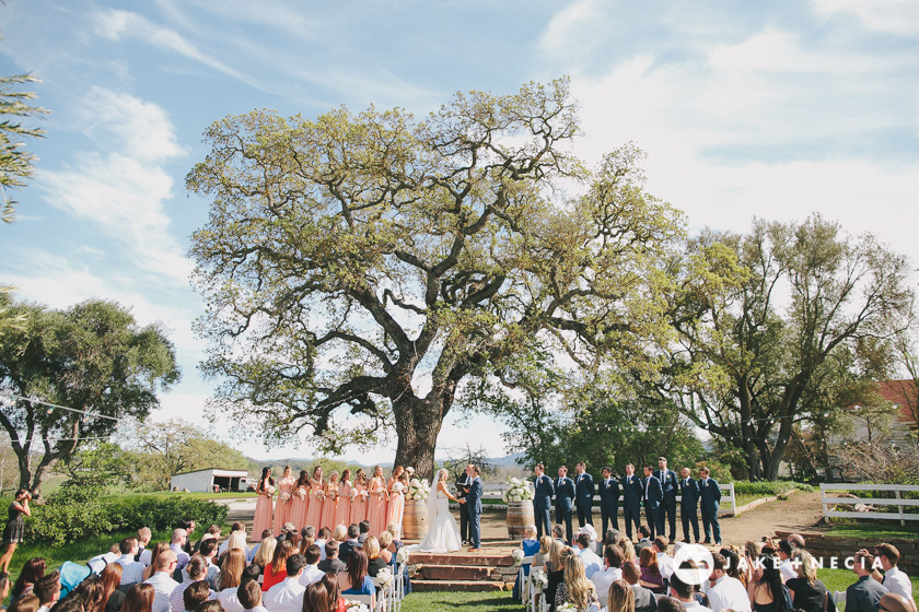 Chris & Chanel: Santa Margarita Ranch Wedding | Jake and Necia Photography (36)