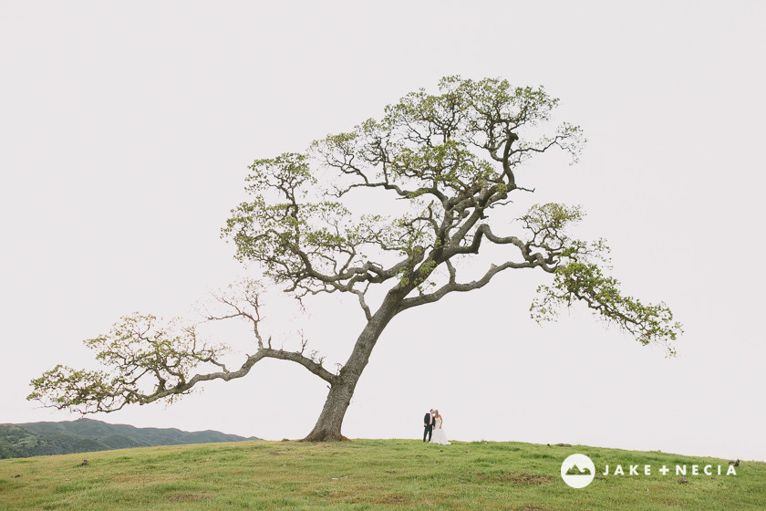 Chris & Chanel: Santa Margarita Ranch Wedding | Jake and Necia Photography (18)