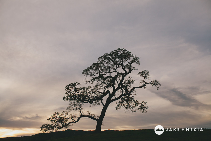 Chris & Chanel: Santa Margarita Ranch Wedding | Jake and Necia Photography (7)