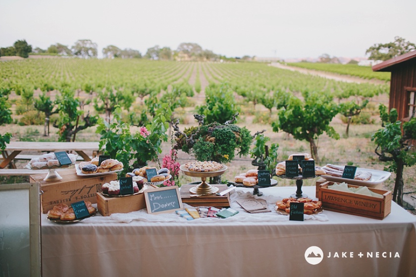 Jake and Necia Photography: Castoro Cellars wedding | Paso Robles (6)