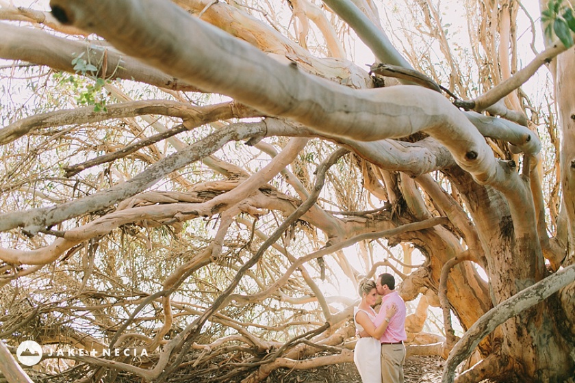 Santa Barbara Engagement Shoot | Jake and Necia Photography (5)