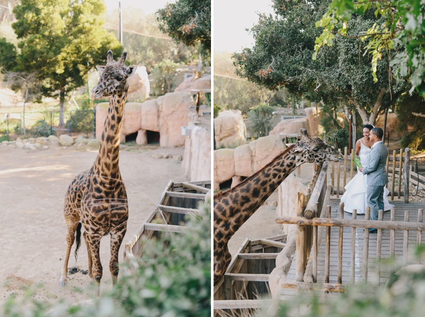 Santa Barbara Zoo Wedding (5)