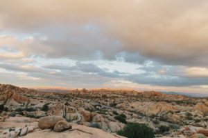 JNP Gallery test 4