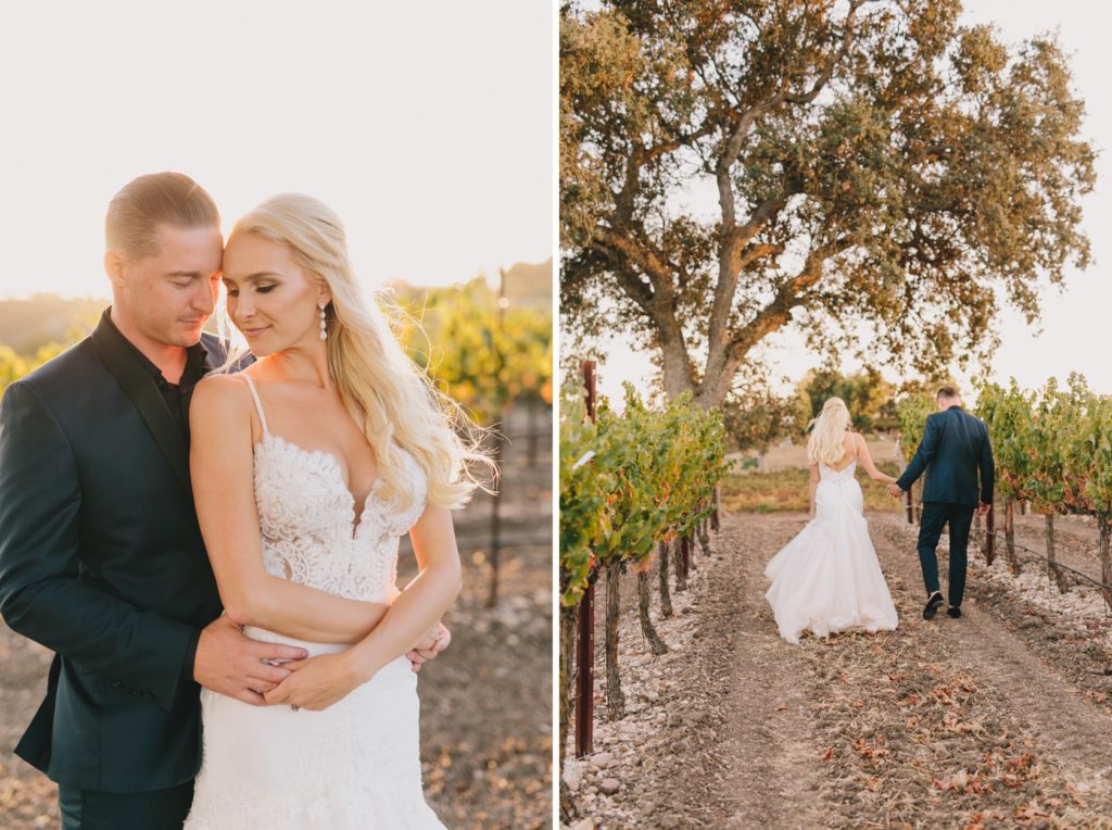 sunset portraits in the vineyards of bride and groom at a Terra Mia Fall Wedding