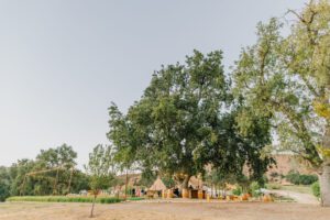 RiataRanch Portfolio A&M 68