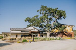 TiffandNick CassWinery JOP portfolio 2024 105