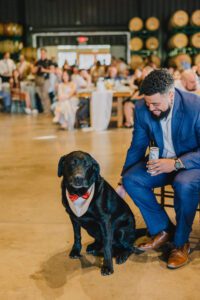 TiffandNick CassWinery JOP portfolio 2024 114