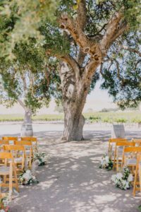 TiffandNick CassWinery JOP portfolio 2024 50
