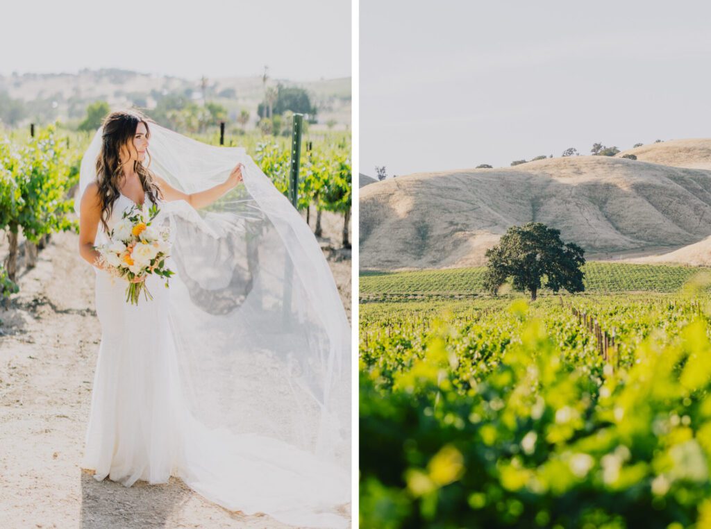 CassWineryWedding2023 ByJakeandNeciaPhoto 047