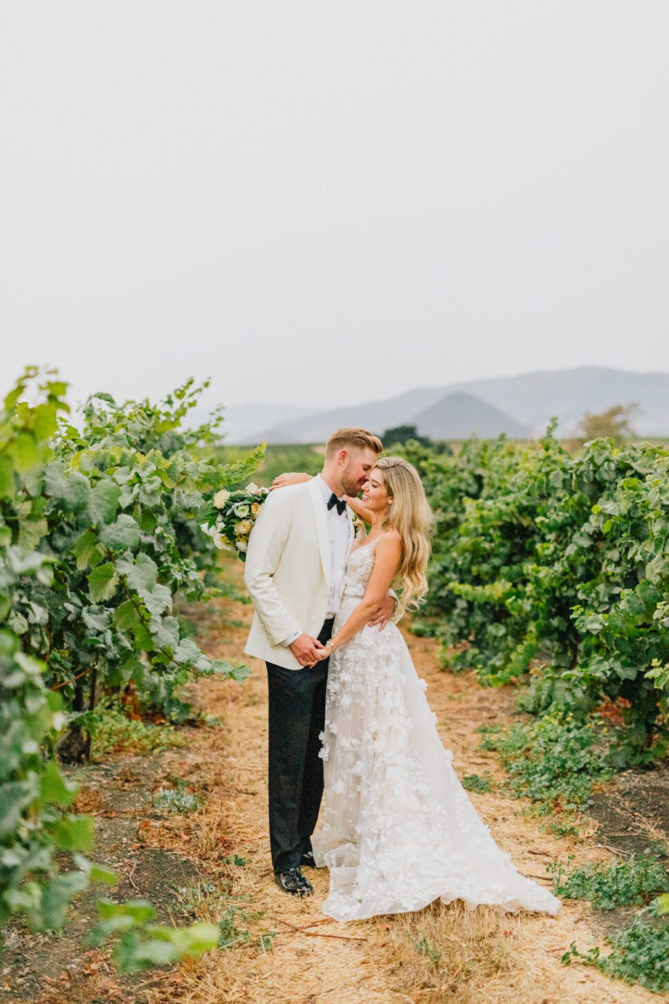 Portrait of a Bride and Groom in a Vineyard at Biddle Ranch Vineyards