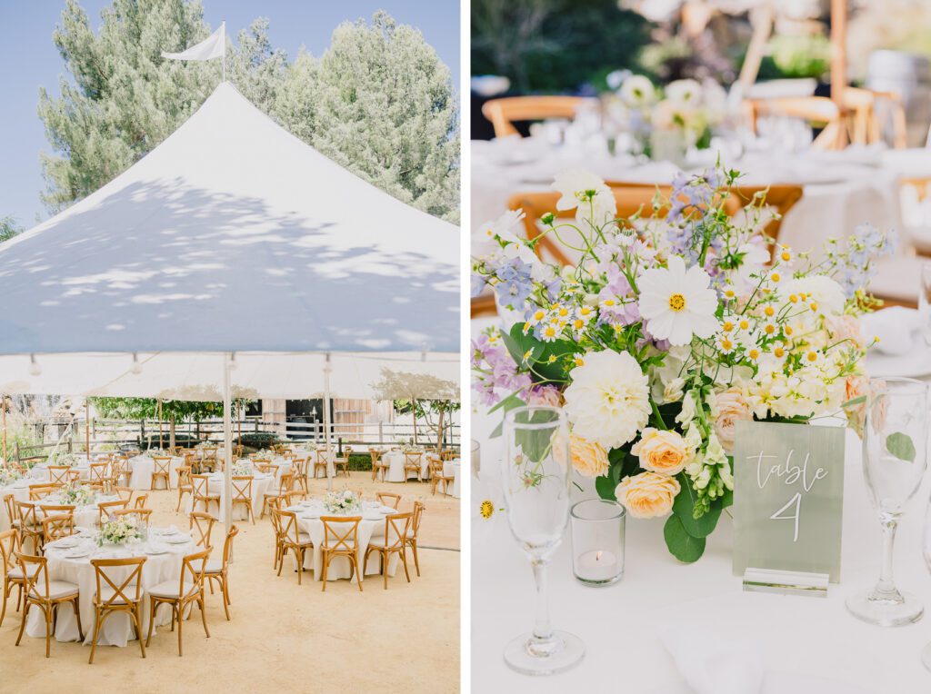 All about Events Tent at a terra mia summer wedding